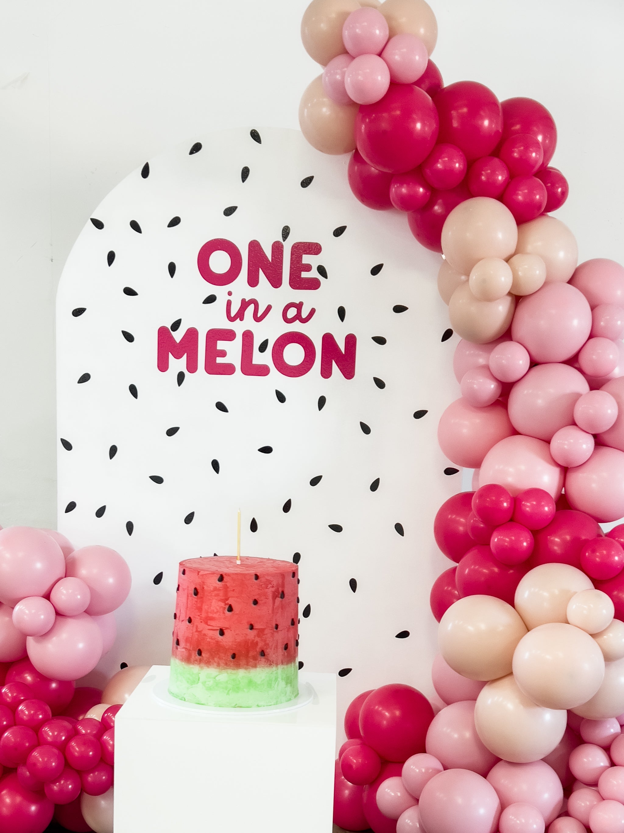 DIY Balloon Garland Kit - Pink Melon