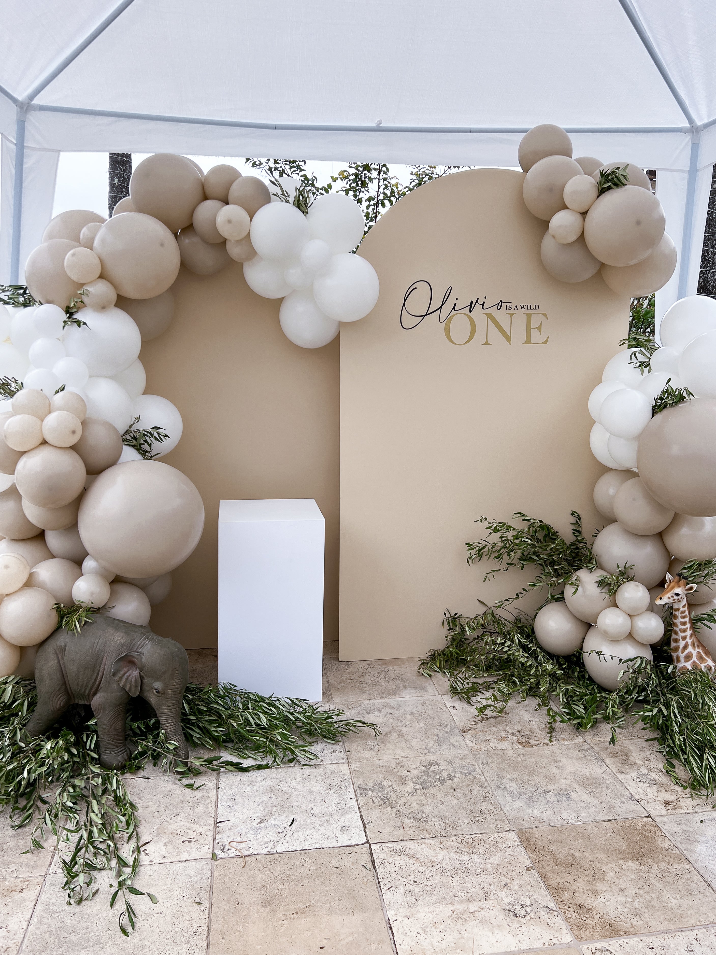 Double Arch Balloon Decor